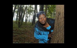 Dorchester County Tourism